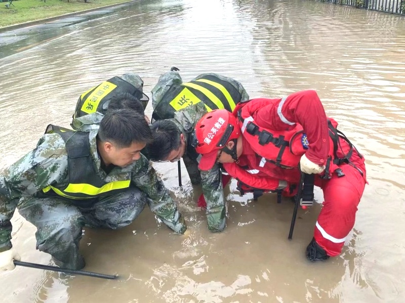 上海蒲公英应急救援队”逆风驰援,上海台风灾后紧急行动