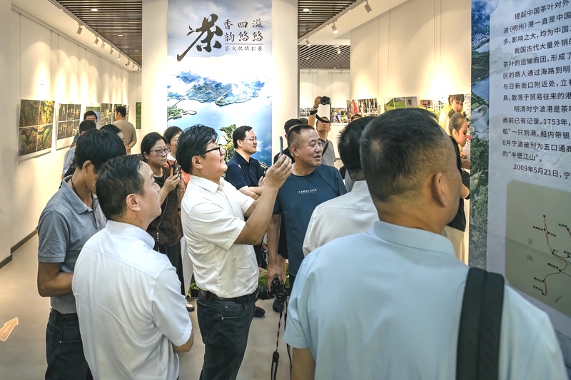 宁波江北区“茶香四溢,茶韵悠悠”摄影展盛大开幕 彰显茶文化深厚底蕴