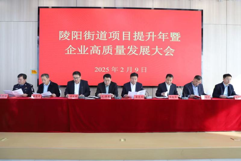 日照市莒县陵阳街道召开项目提升年暨企业高质量发展大会